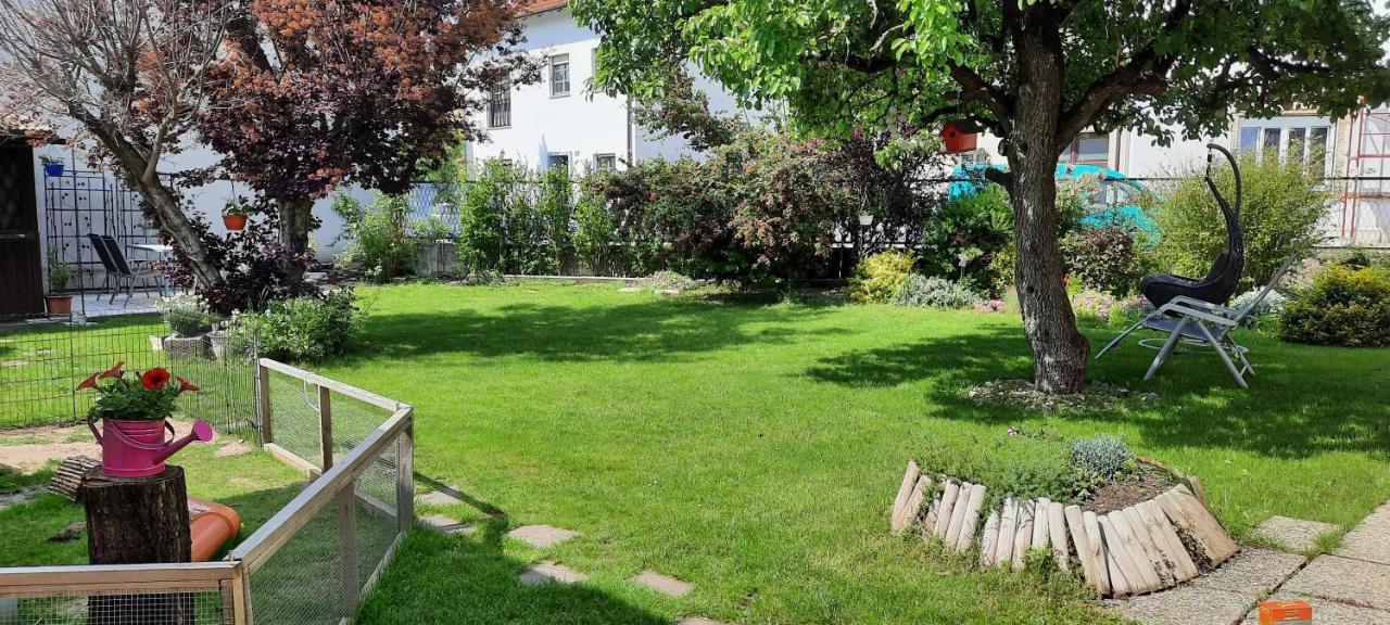 Ferienhaus Lina Neusiedl am See Exterior foto